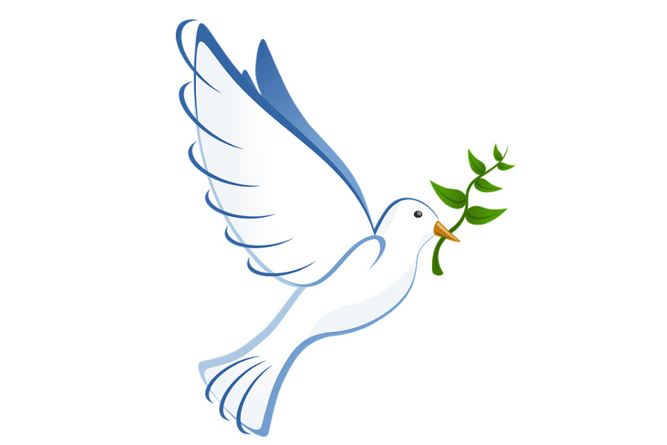 Des Actes pour la Paix : Une Semaine d'Engagement